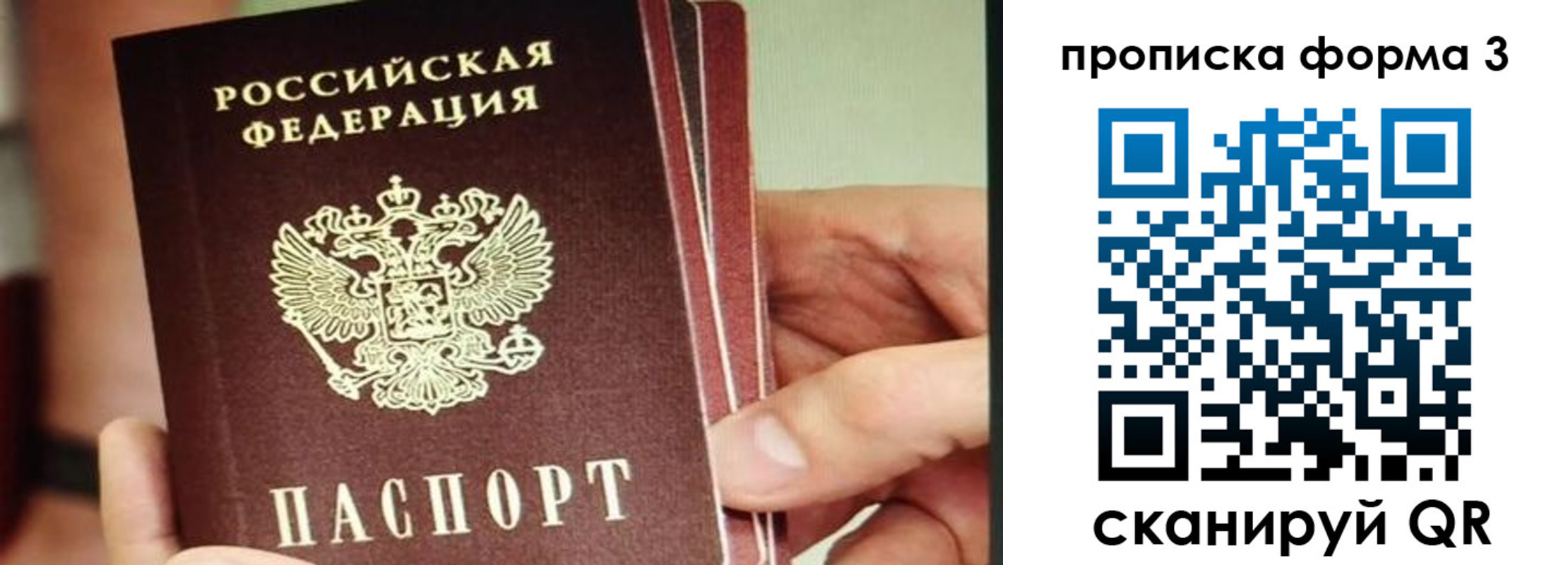 прописка законно в Ардоне